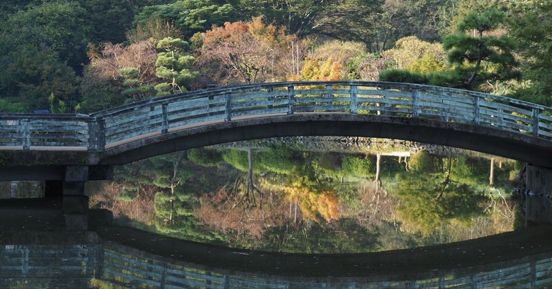 20231220 Olympus PEN E-PL3に17mmパンケーキレンズで|Ryuma 20231220 Olympus PEN E-PL3に17mmパンケーキレンズで|Ryuma