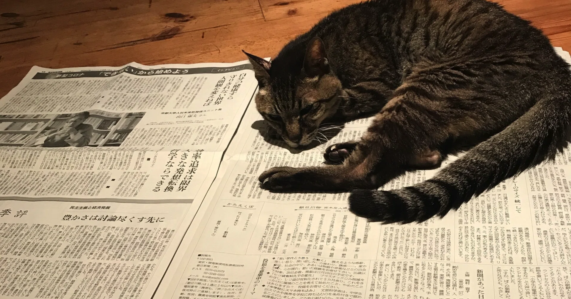 中桐雅夫の場合 「荒地」の詩人と戦争｜神谷光信