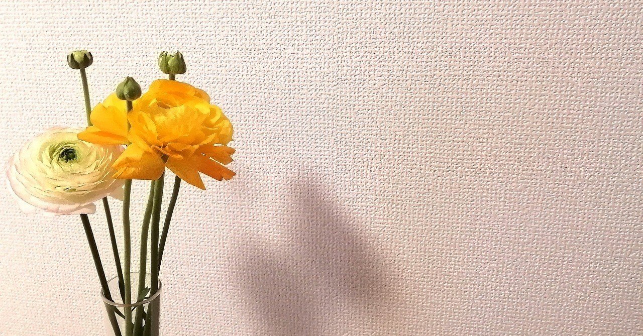 ホ・オポノポノ｜A