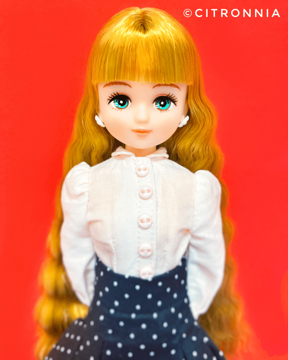 リカちゃん　キャッスル　フレンド　人形　未使用新品　パレットF き ちいさなおみせのパレットFにカントリードレスセット