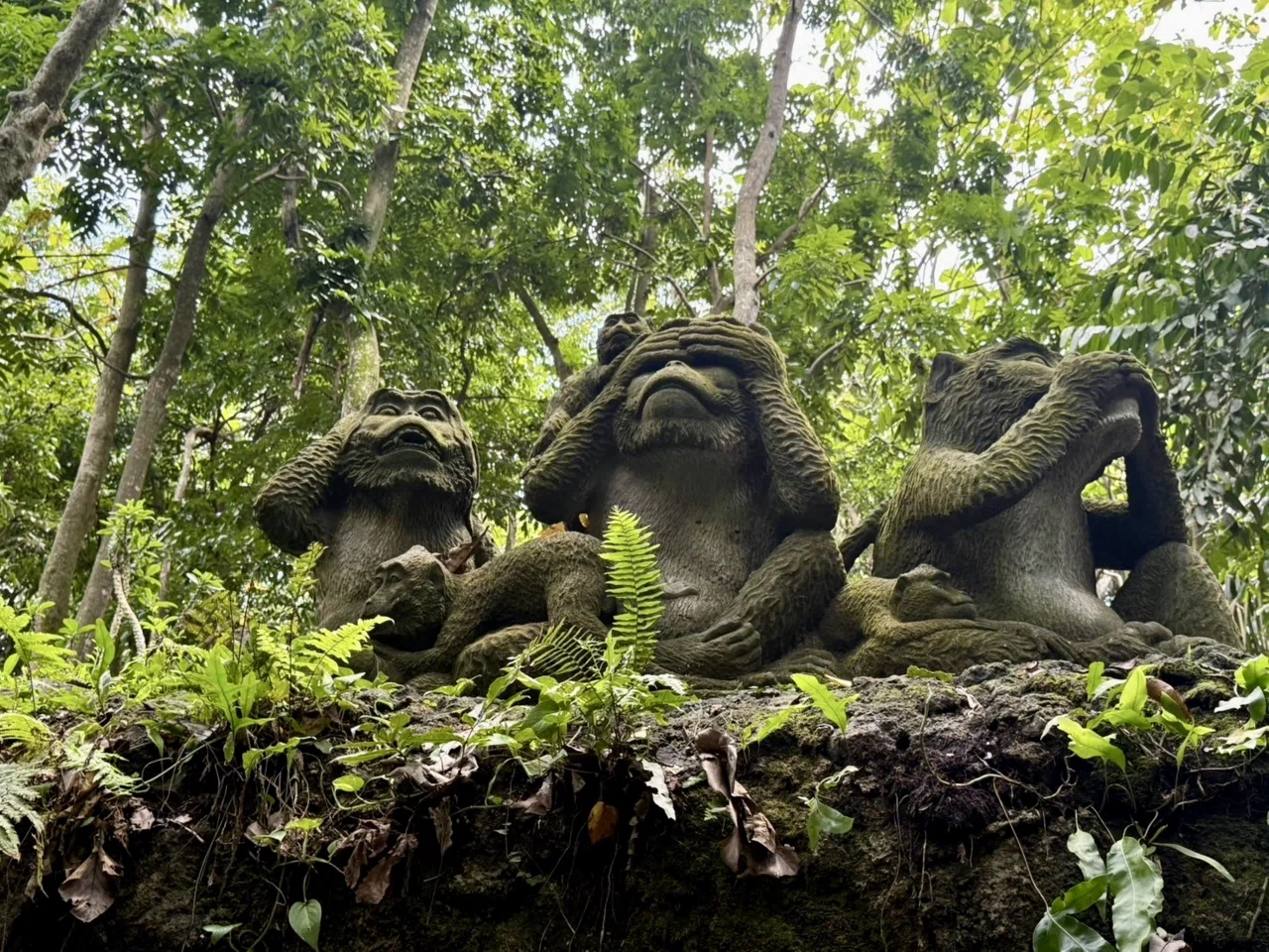 バリ島編#3｜ウブド② サルにひっかかれ、空に吊るされる🐒🪂 ｜❊モブ