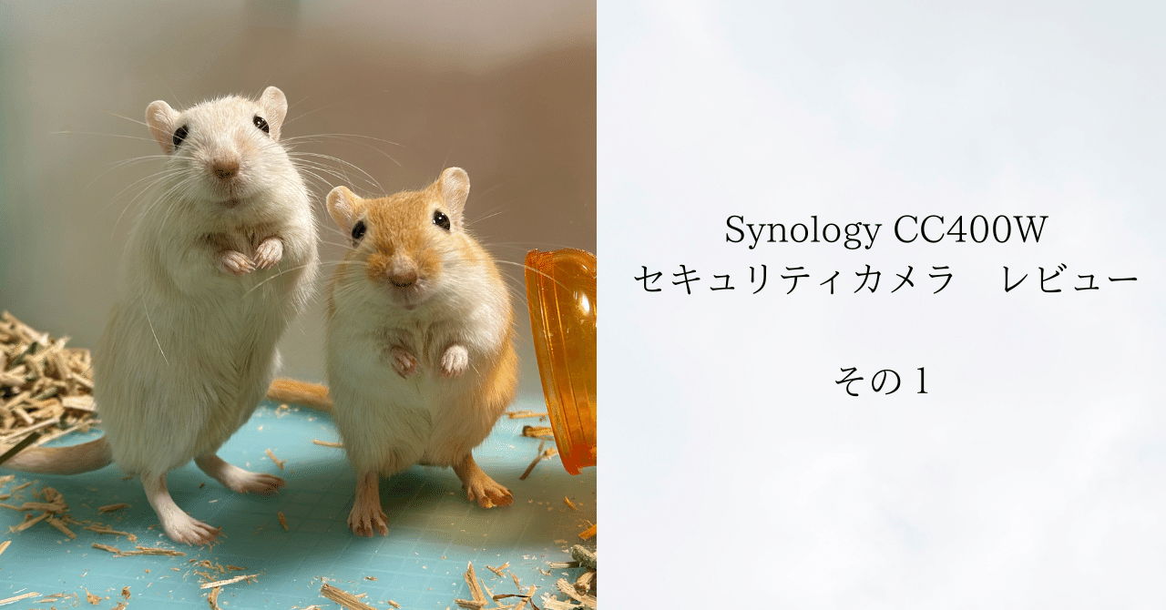 Synology CC400W セキュリティカメラ レビュー その1｜すなガジェ