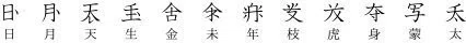 画像10