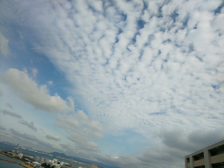 雨雲が…

ここ最近ずーーーーっと雨☔️雨☔️だけど
昨日…ナミナミ雲を久しぶりにみた

生憎の遠すぎて写してないけど
雪の警告でもあるんだよね