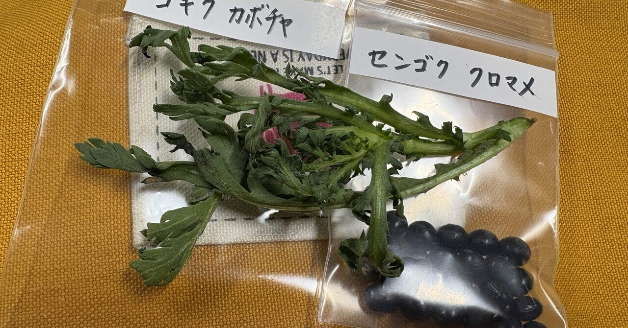 パーマカルチャー”で持続可能な農業を目指す—自然農園