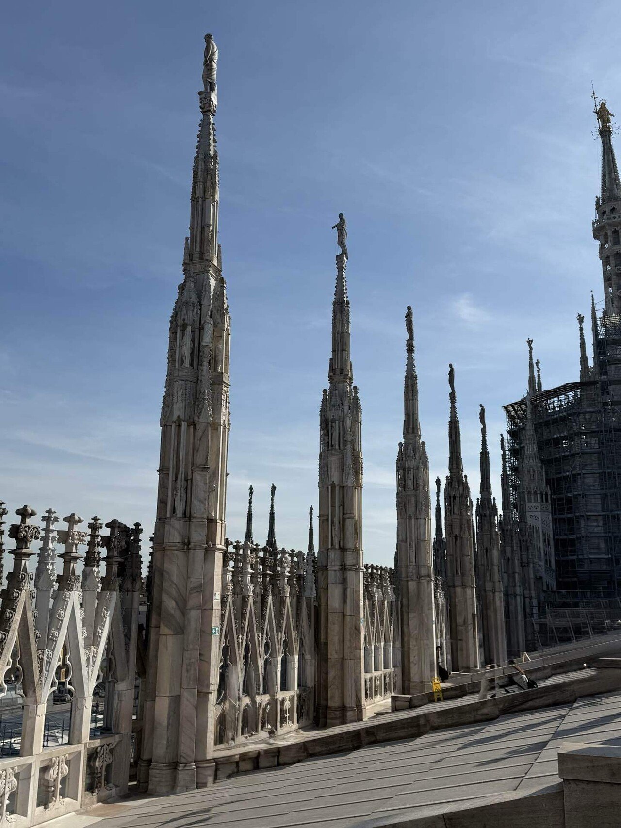 1/5までP10倍！ドゥーオモ DUOMO ダイニング ダイニングチェア チェア 2脚セット