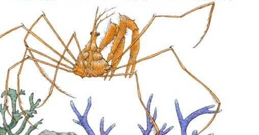 【裁断済み】RustとWebAssemblyによるゲーム開発 ―安全・高速・…