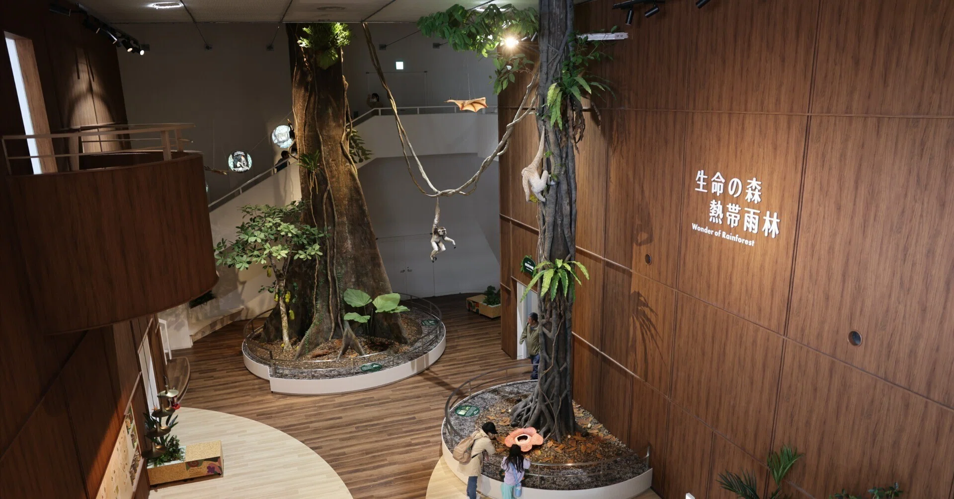 動物 科学 館