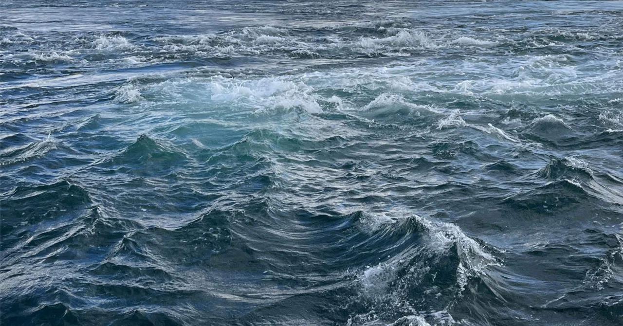 Self-Study and Reorganization of Fluid Dynamics: On Vorticity and ...