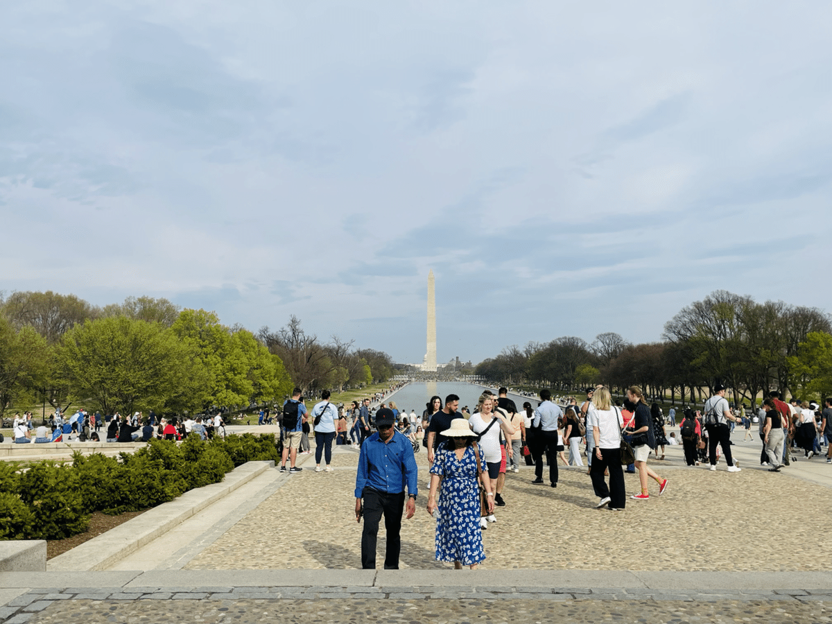 旅行記】ワシントンD.C. 満開の桜｜ののこ｜アメリカ暮らし