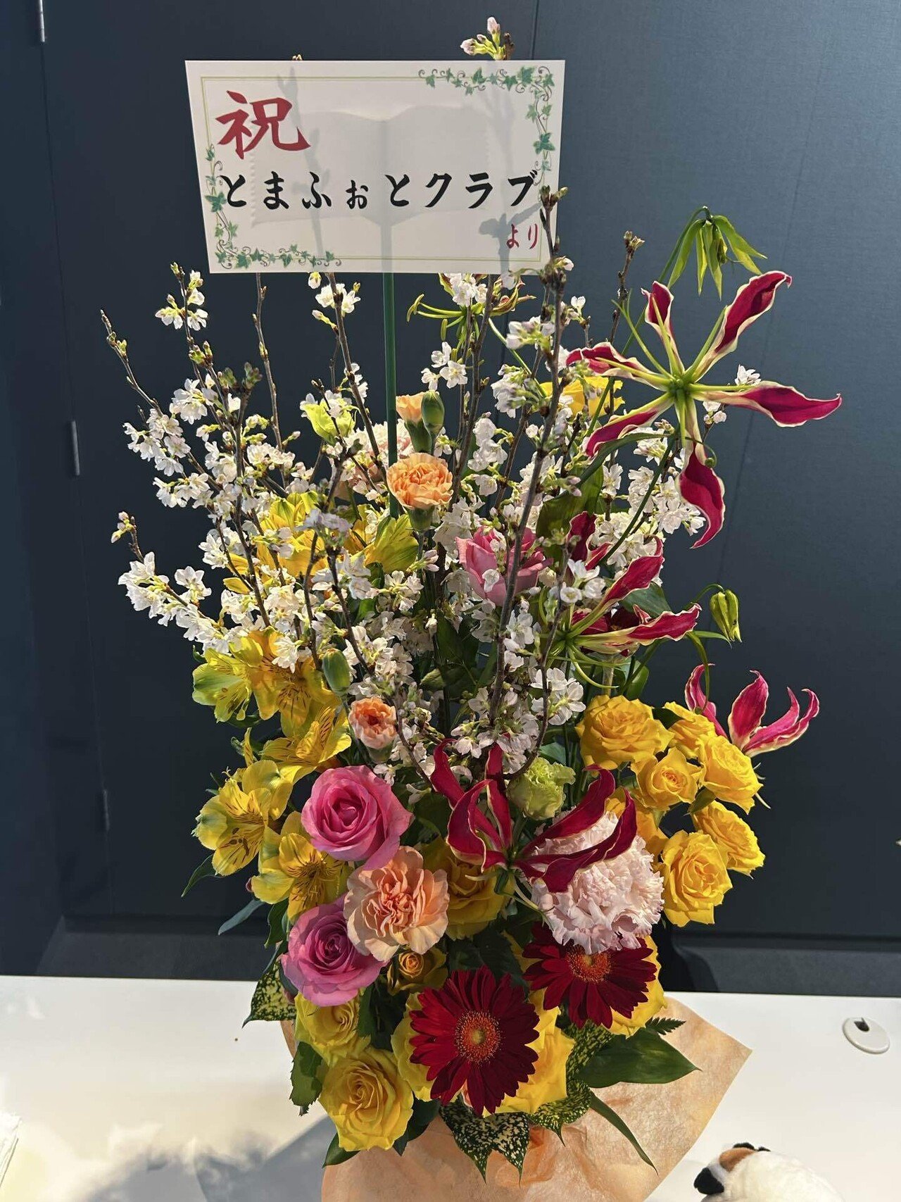 佐藤圭写真展『鳥影〜北海道、野鳥たちの楽園』in札幌｜動物写真家