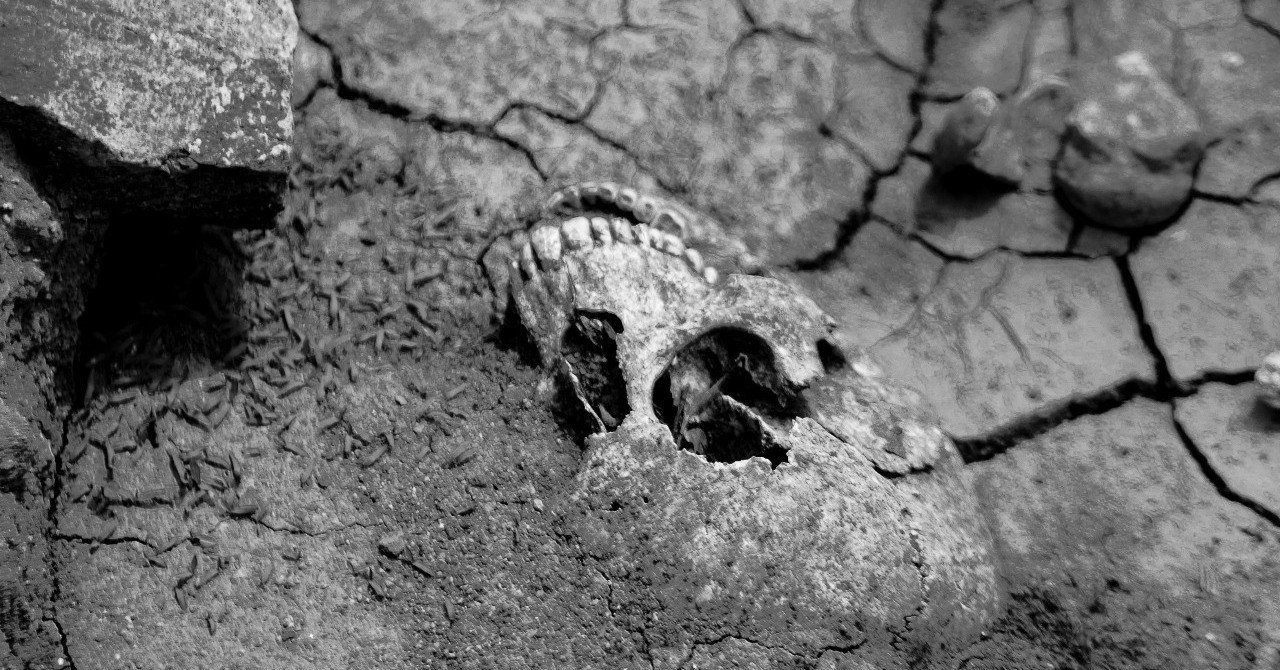 ニトの名前に関する与太話 瑞希 Note