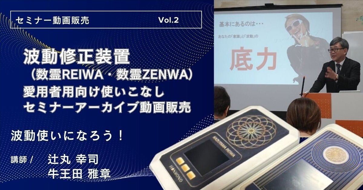 送料無料商品の通販 波動修正装置（数霊REIWA・数霊ZENWA）愛用者用向け使いこなし その他
