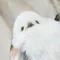 えながゆうき