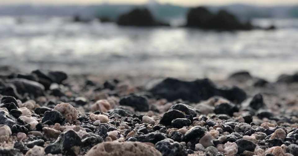 19年鬼貫青春俳句大賞応募作 どうしても夏だった 田村奏天 タムラカナメ Note