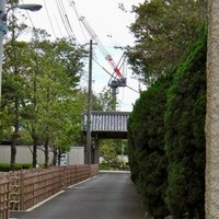 鱗形屋孫兵衛」の店はここだ!|歩いて、探して、歴史を発掘する 鱗形屋孫兵衛」の店はここだ!|歩いて、探して、歴史を発掘する