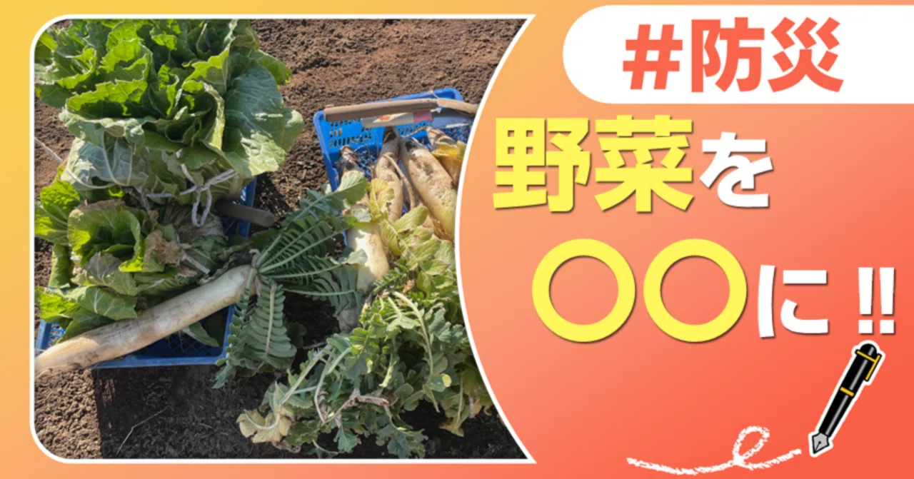 もしもの時に役立つ〇〇野菜！｜J:COM地域取材ノート