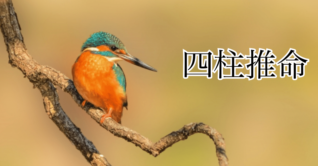 書込、背折れ、8ページ分切抜欠損あり命理経典名著 天星斗數秘笈 文源書局 中国語 書込、背折れ、8ページ分切抜欠損あり命理経典名著 天星斗數秘笈
