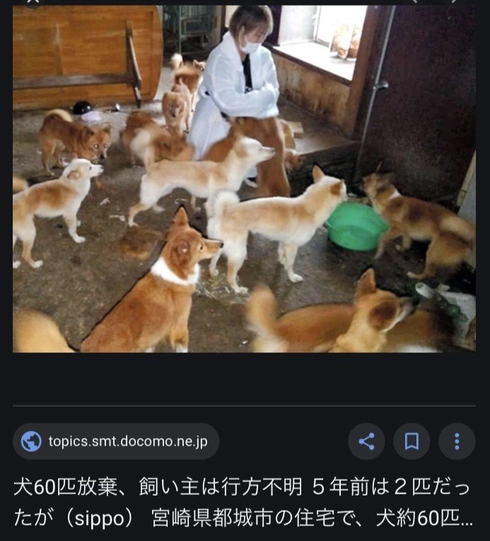 環境省の犬猫 殺処分ゼロの定義を明確化し 譲渡困難な犬猫を殺処分数から除外に 反対署名に協力を 猫物件ノート紹介aaefａｃジャパンのcm の意義は 宮咲アンナ Note