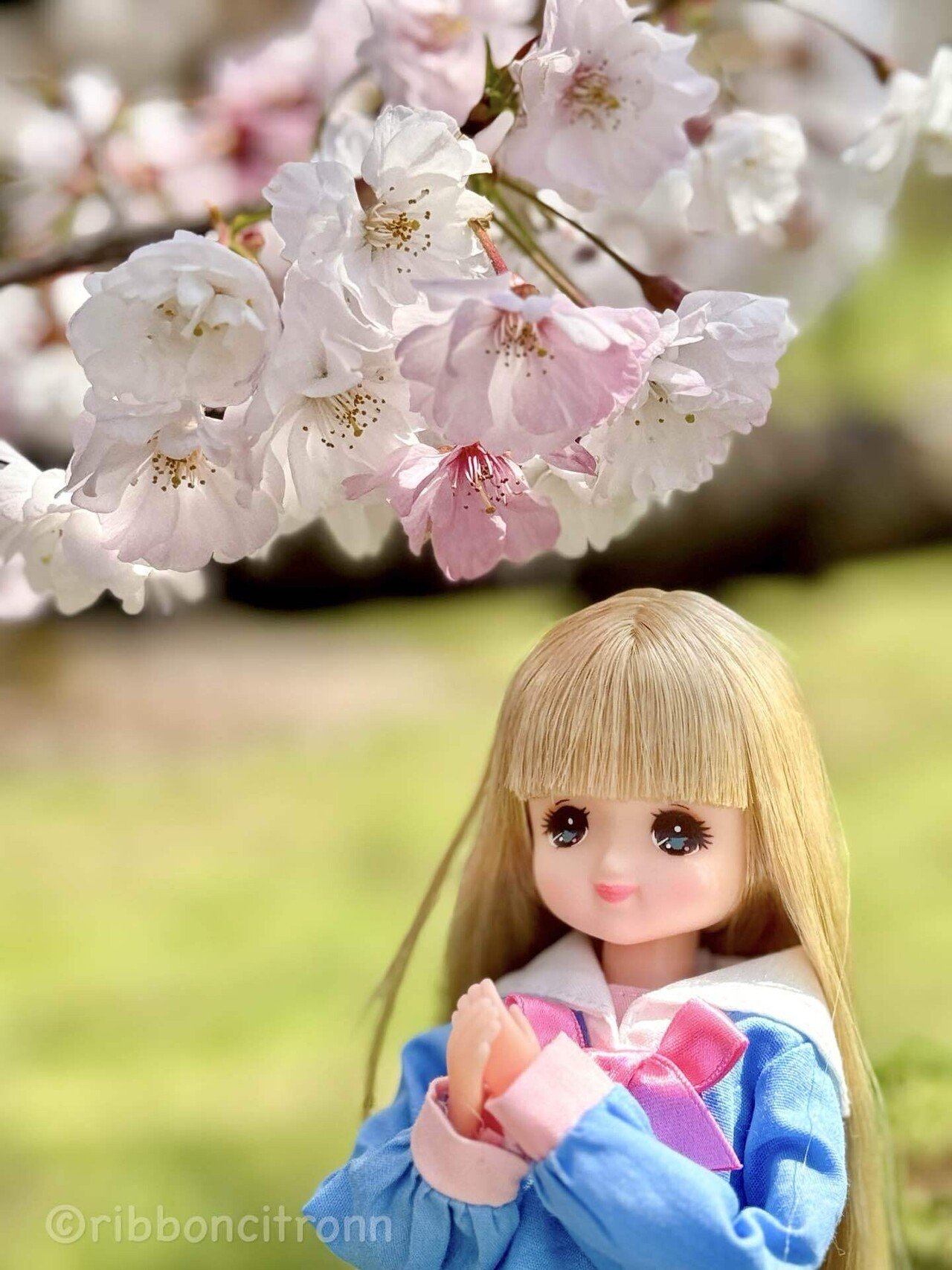 復刻版　ショコラちゃん　リカちゃん　フレンド リカちゃん LD-27 モテビジュ さくらちゃん｜ドール｜限定品や新作も