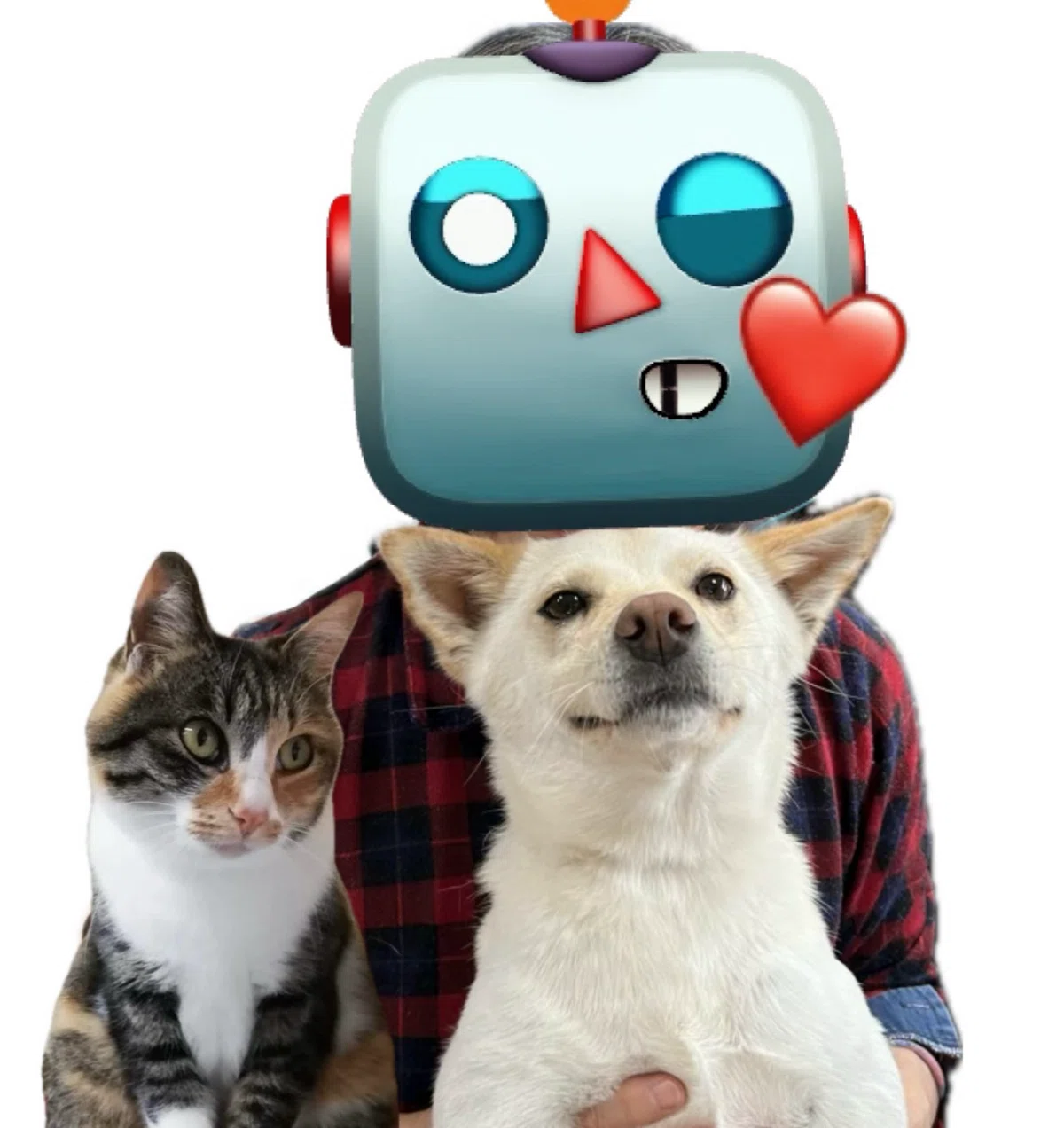 犬と猫と母