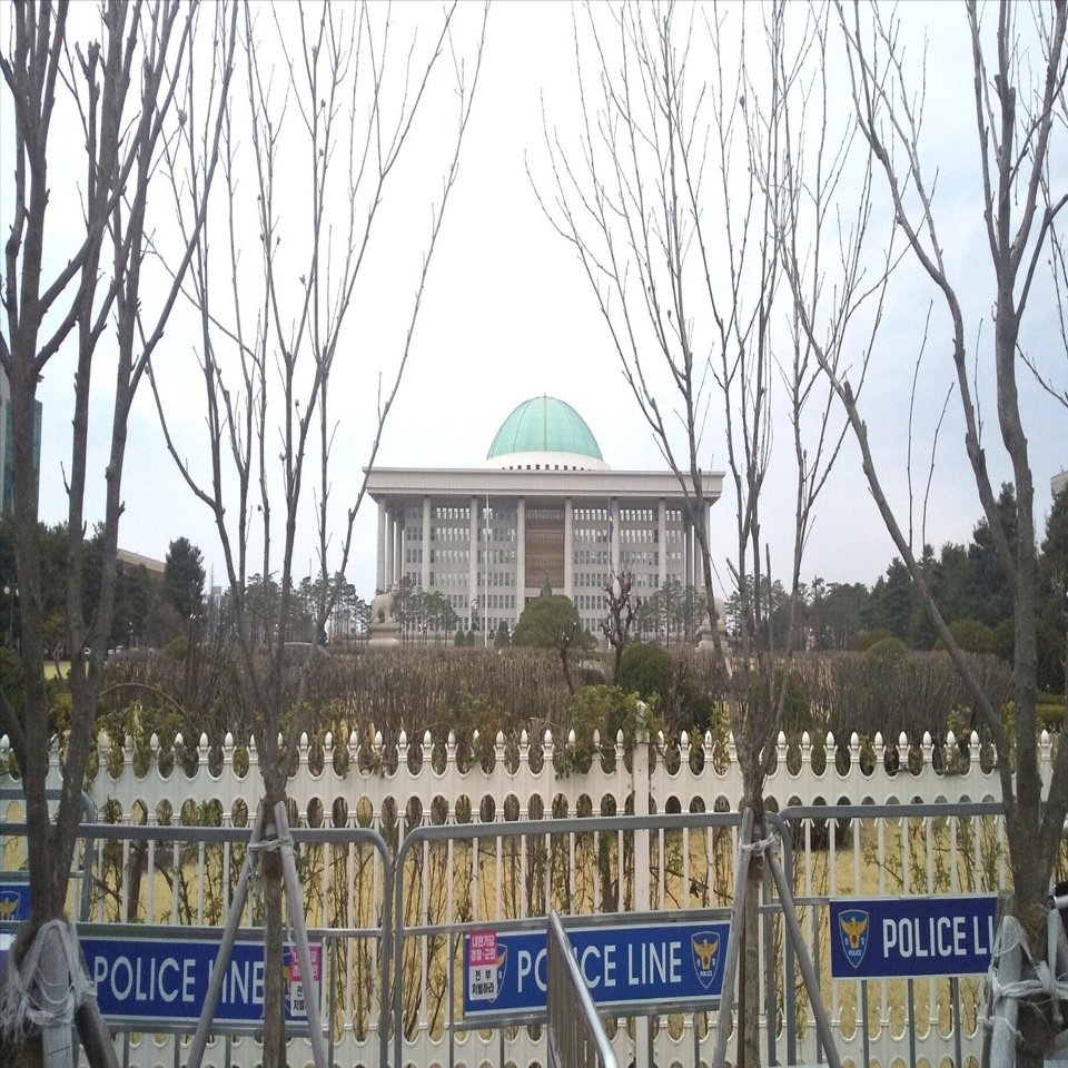 小雨混じりの国会議事堂と桜並木～ソウル探訪記２｜はむた@捏造報道と闘う会