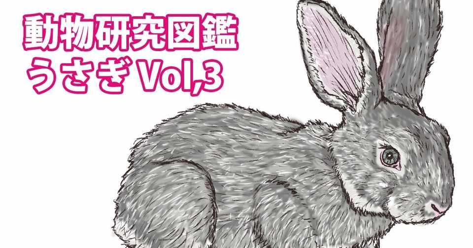 動物研究図鑑 うさぎvol 3 Note0038 イラストレーターryo Note