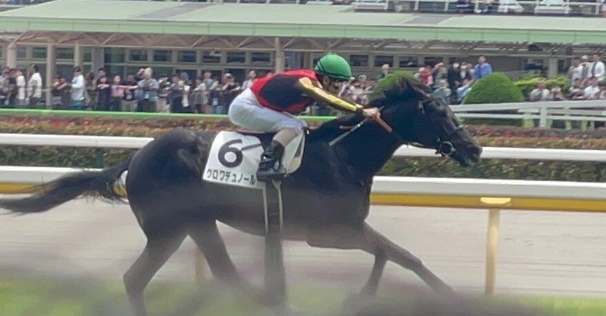競馬現地映像】クロワデュノールが新馬戦で衝撃の圧勝‼️三冠