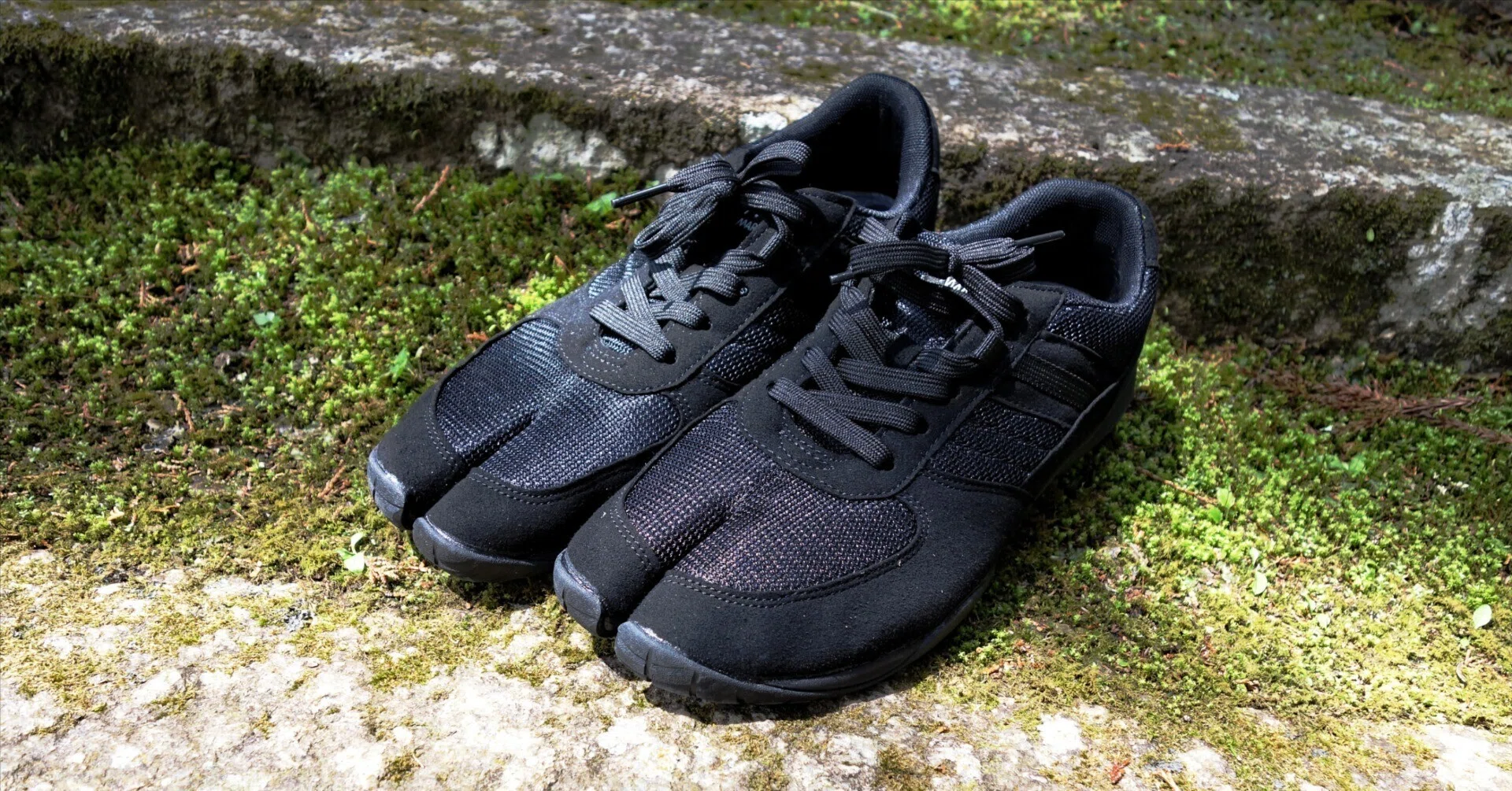 足袋スニーカー 新色｜FitInsole