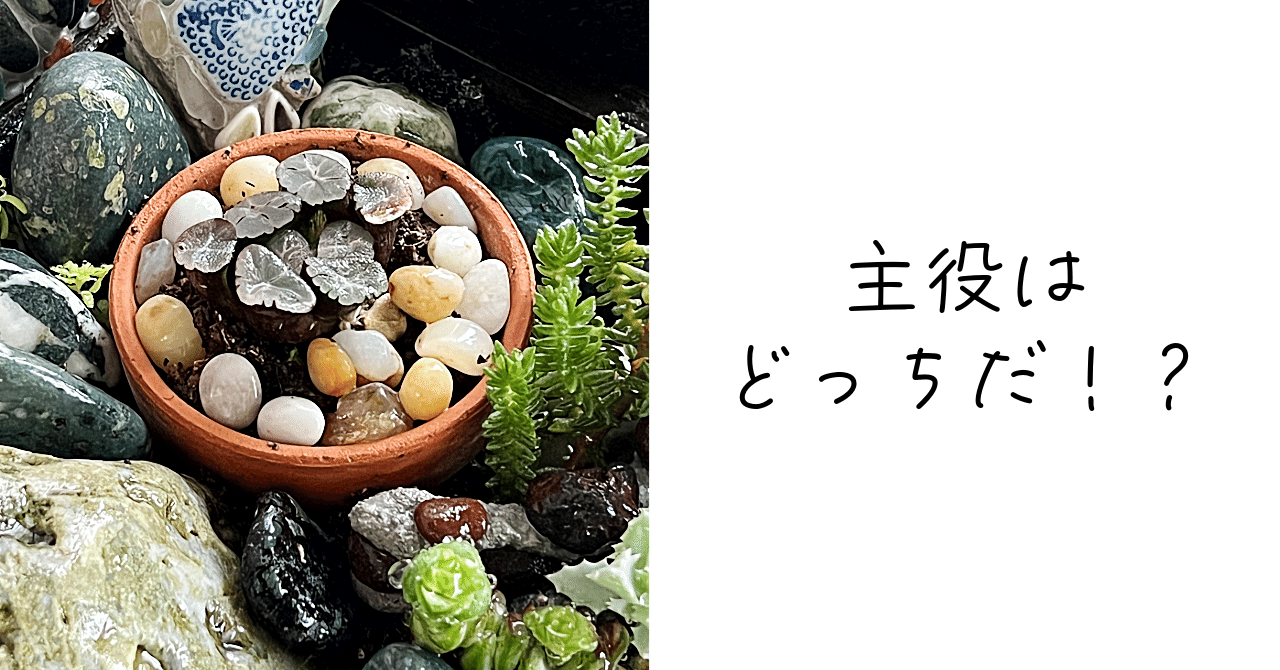 箱庭用石値下げしました。 Amazon.co.jp: Z/X -Zillions of enemy X- EXパック第47弾 ぜくげ