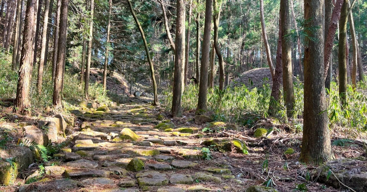東海自然歩道_35｜御嵩から中山道を辿り恵那へ｜かぼちゃかべ