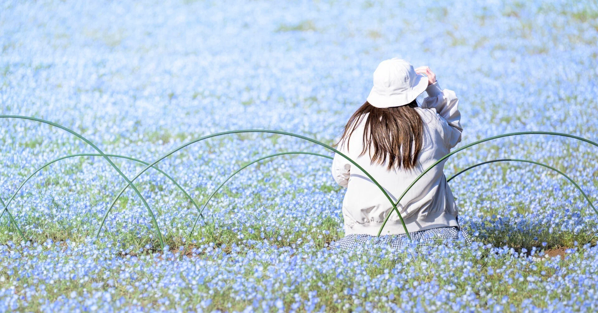Taking my family to photograph Nemophila with Nikon and SONY