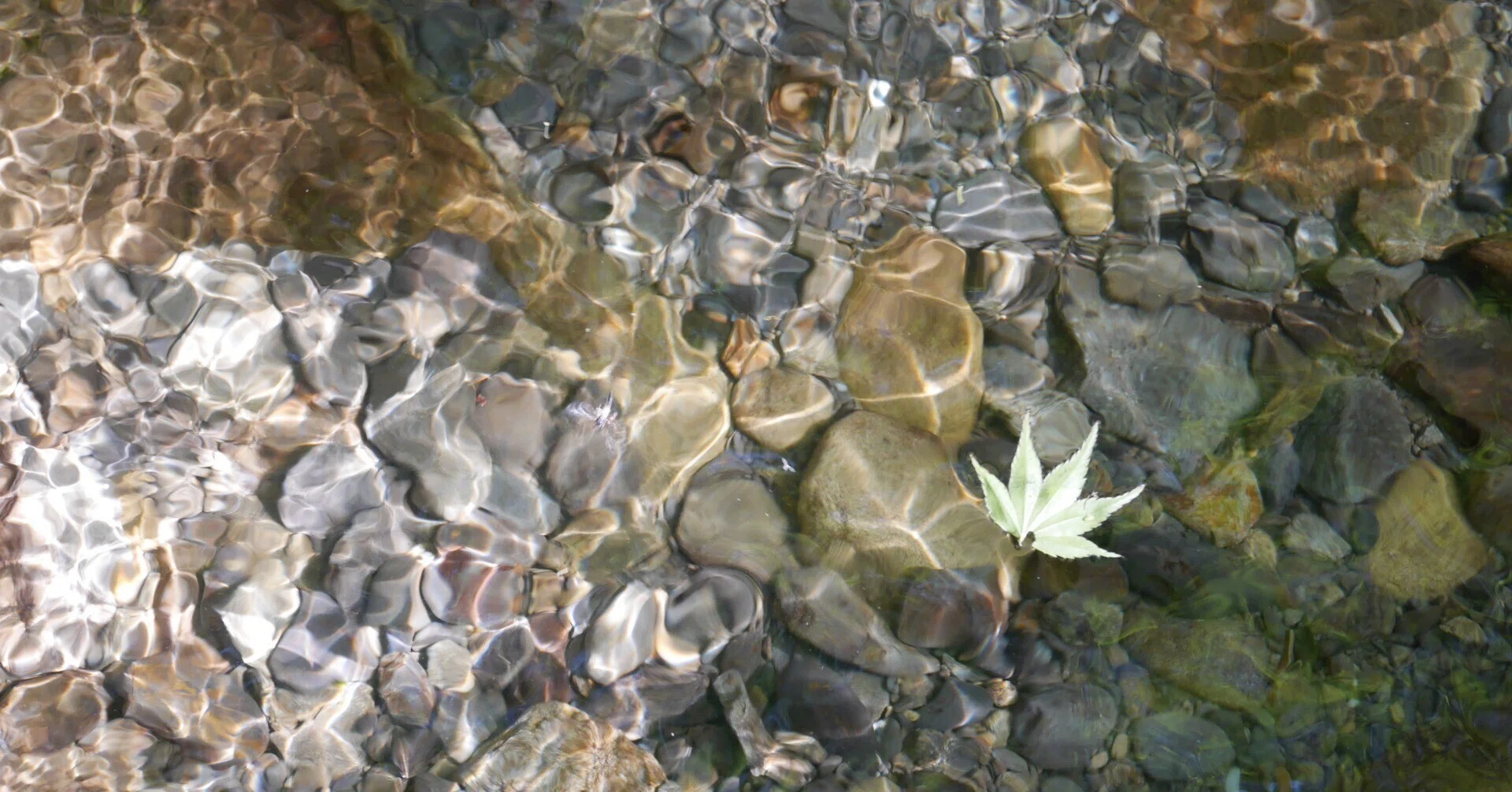 現代語訳 樋口一葉日記 51（M28.6.2～M28.6.16）◎川上眉山の激励