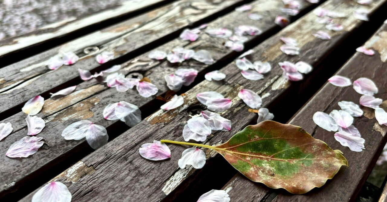春いろさんぽ 《散る桜 残る桜も 散る桜》｜いろ