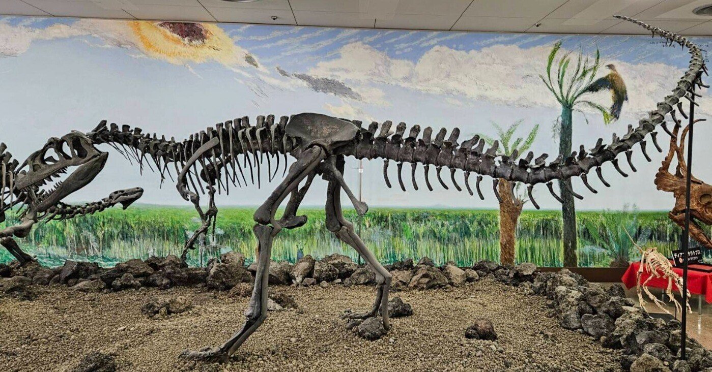 イグアノドンの化石アンモナイトの化石恐竜の本3点セット