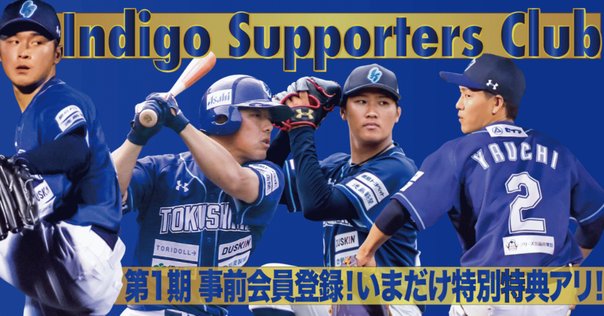 インディゴをいつも身近に】応援にも普段使いにも！徳島