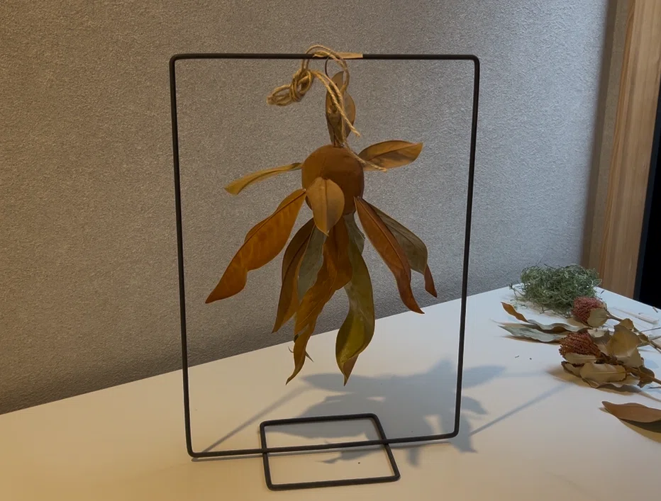 ワイルドフラワーフライングボール｜ハナジタク花学校