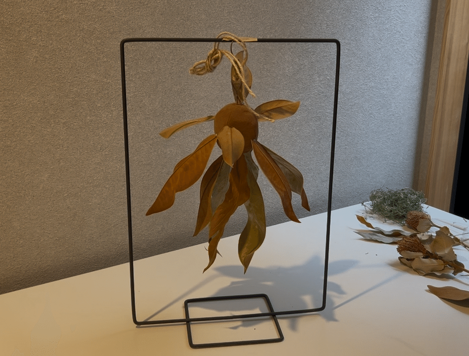 ワイルドフラワーフライングボール｜ハナジタク花学校