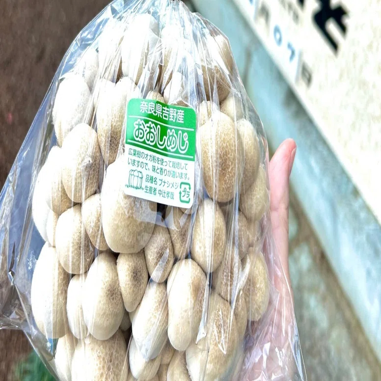 プリップリおおしめじ｜マルカワみそ 売店ブログ