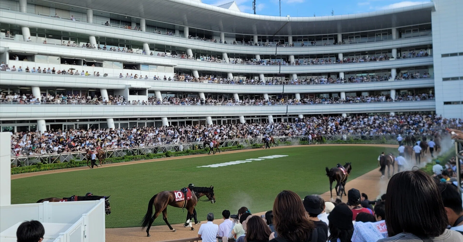 【中古】 パドック必勝法 パドックで勝ち馬を見抜く！初心者でもわかる簡単観察術｜UmaRock