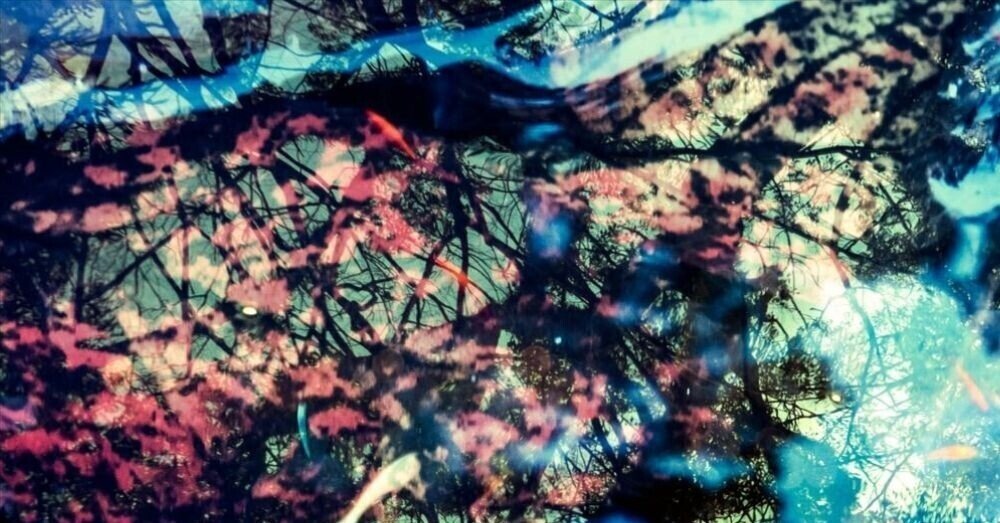 Lunar Collective|note