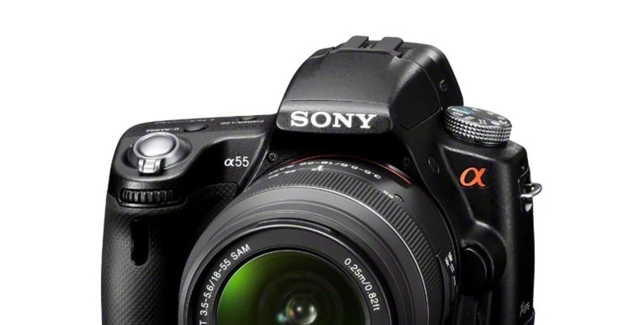 α55とNEX-6とα6000の比較｜Gallery