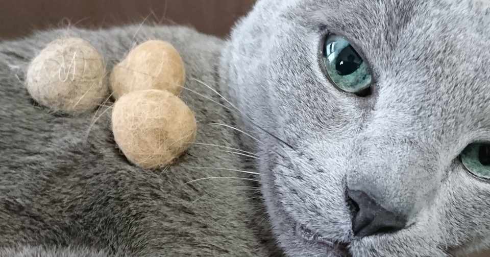 短時間で猫を満足させる遊ばせ方 毛玉ボール篇 Masuda Sho Note