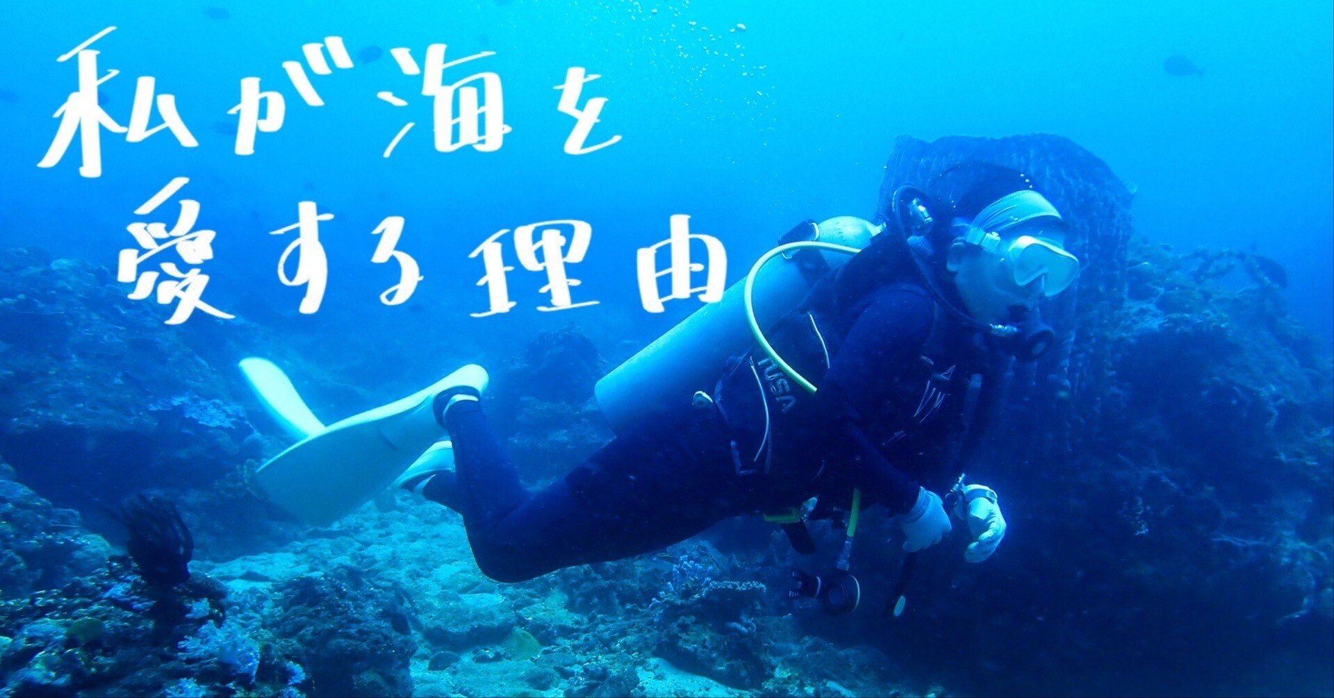 df3f0da1697e041fb261956a1fb580