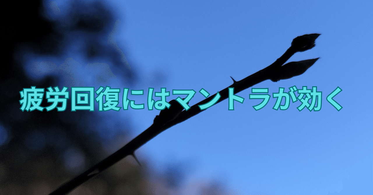 疲労回復にはマントラが効く｜マンボウ