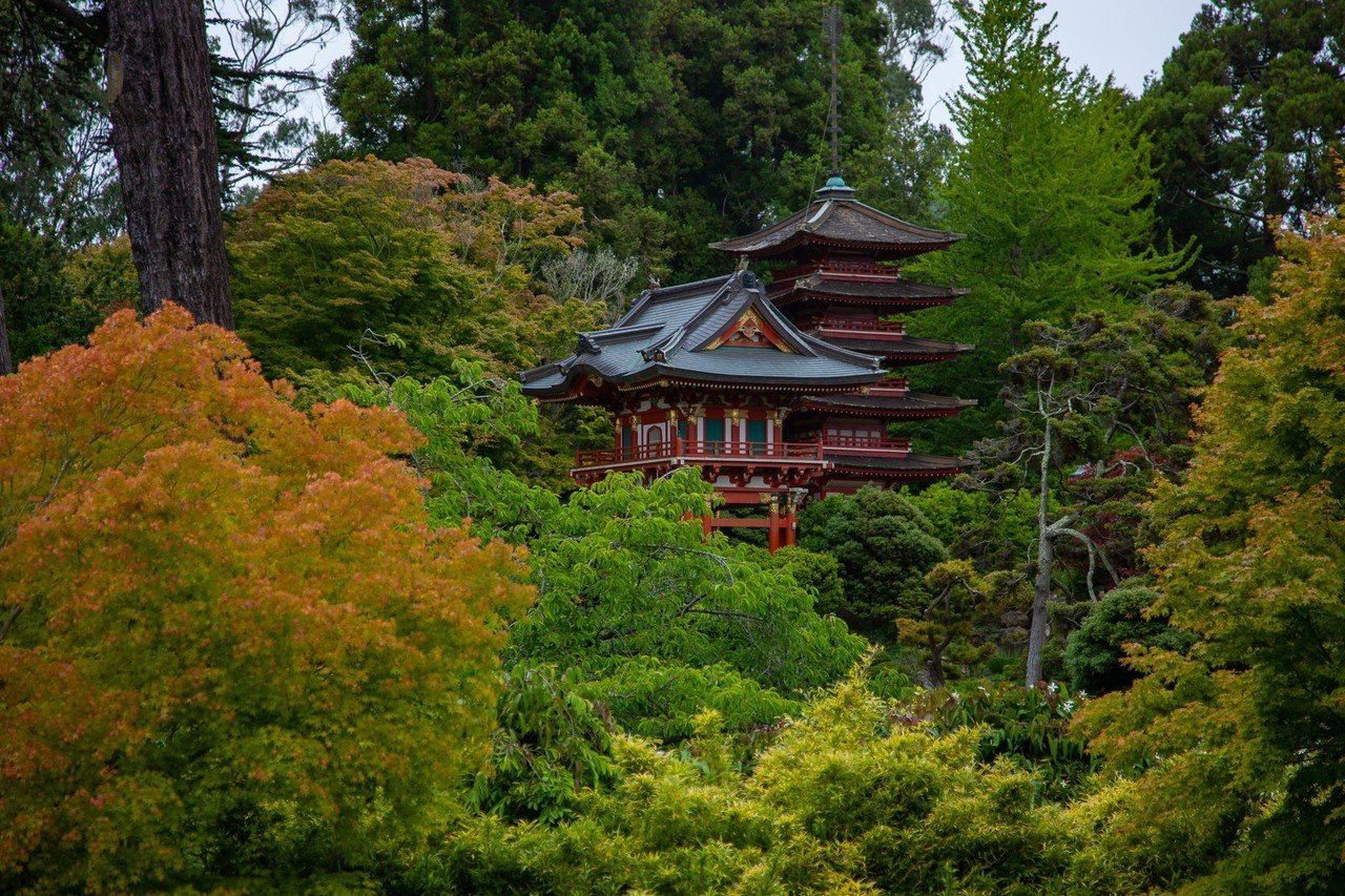 サンフランシスコ Zenpaku Note サンフランシスコ Zenpaku Note