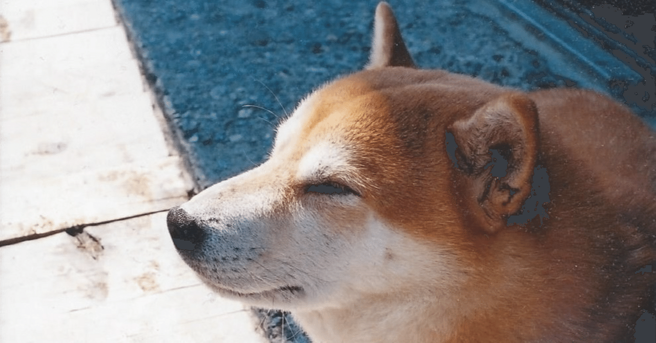 犬マユゲでいこう最新刊『犬マユゲでいこう not まちがいさがし