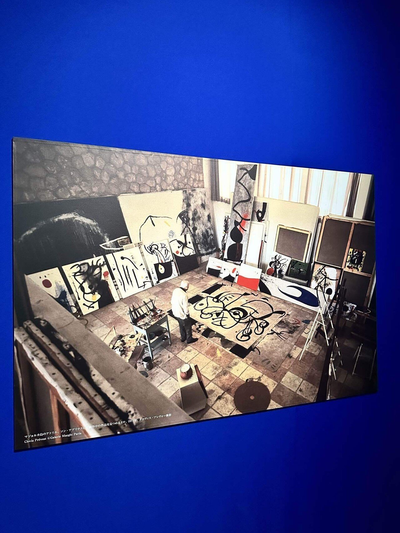 シュルレアリスムとポップアート ジョアン・ミロ展(20254月)@東京