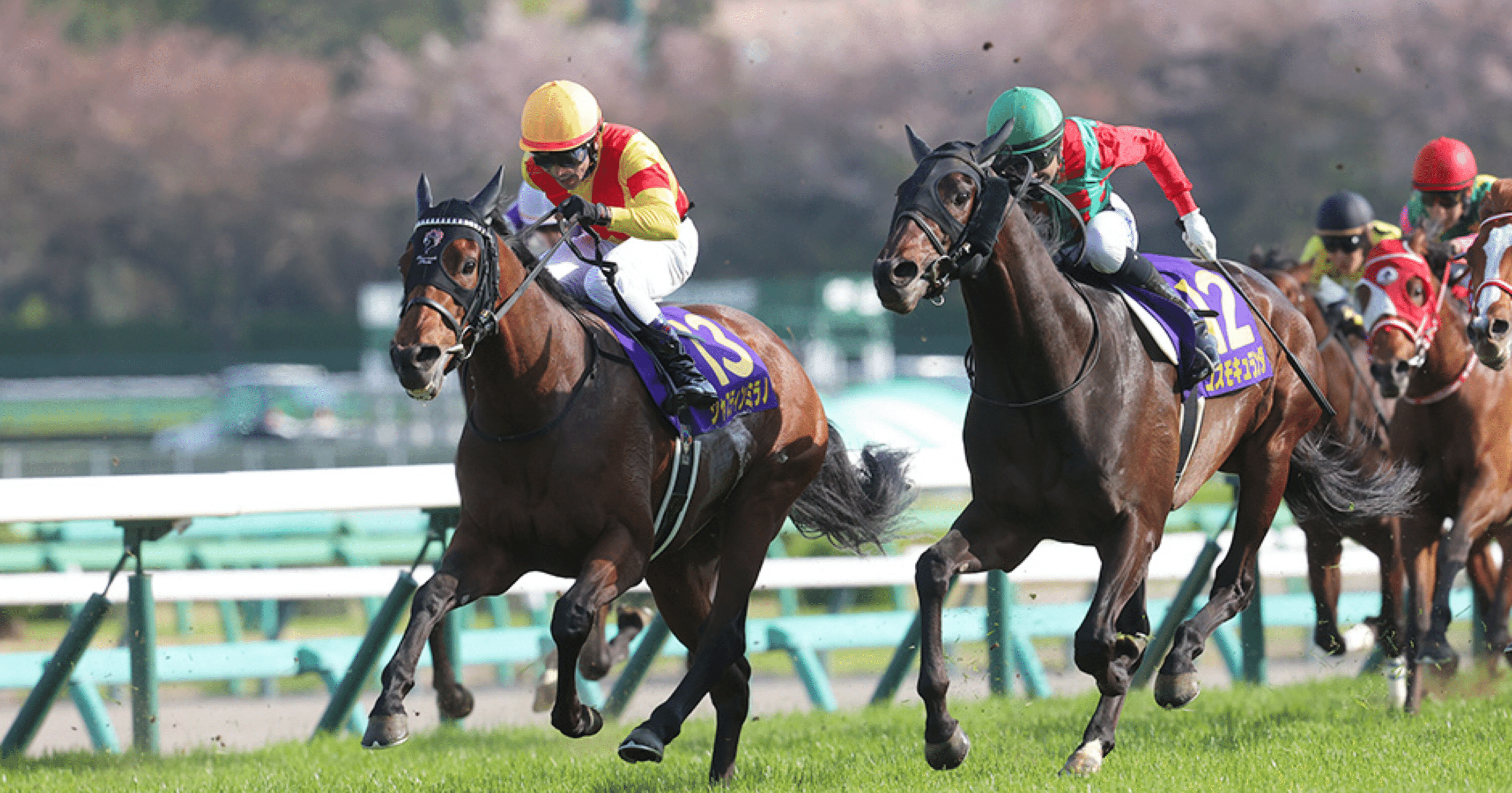 【中古】 全重賞穴馬攻略ファイル Ｇ１・Ｇ２・Ｇ３、重賞レースの穴馬券が遂に判明/ぱる出版/田中栄一 中古】 全重賞穴馬攻略ファイル G1・G2・G3、重賞レースの穴馬券