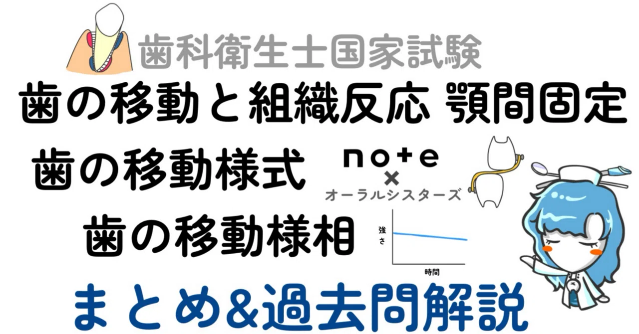 販売終了】歯の移動と組織反応 顎間固定 歯の移動様式 歯の移動様相PDF